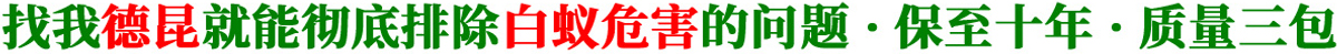 白蟻治理